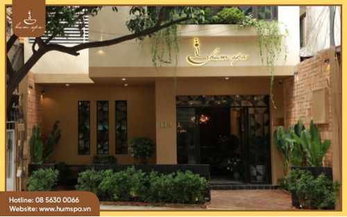 Ghé Hum Spa Quận 1: Trải Nghiệm Dưỡng Sinh Đông Y Chuẩn Mực Không Nhận Tip