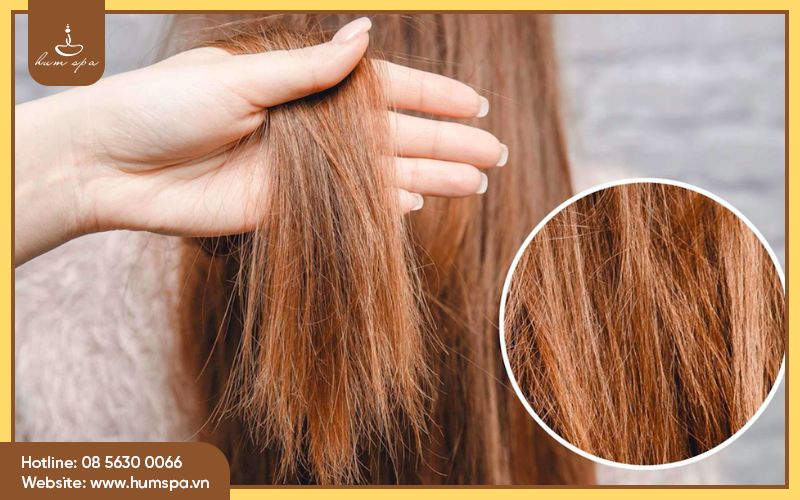 cham-soc-toc-m em-muot-tai-nh a-1.jpg