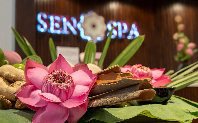 Sen Hồng spa