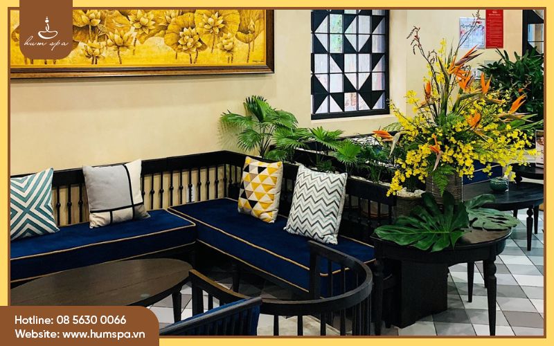 Kinh doanh thành công khi nhờ dịch vụ setup spa chuyên nghiệp
